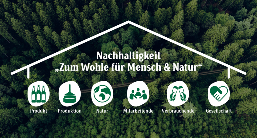 Grafik zeigt den Überbegriff Nachhaltigkeit als Dach, darunter kommen die Bereiche: Produkt, Produktion, Natur, Mitarbeitende, Verbrauchende und Gesellschaft.