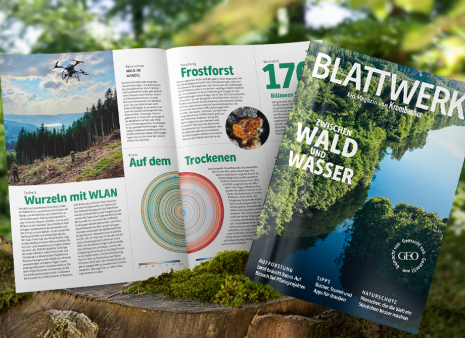 Das Bild zeigt die Titelseite und eine Innenseite des Magazins BLATTWERK, das sich mit Wald- und Wasser-Themen beschäftigt. 