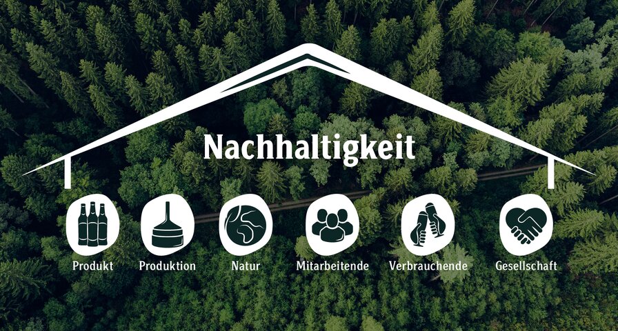Nachhaltigkeitshaus über Waldansicht mit den Bereichen Produkt, Produktion, Natur, Mitarbeitende, Verbrauchende und Gesellschaft.