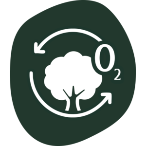 Symbol eines Baums mit zwei Pfeilen, die einen Kreislauf darstellen, daneben die chemische Formel O₂ für Sauerstoff.