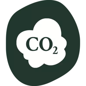 Symbol einer Wolke mit der chemischen Formel 'CO2' für Kohlendioxid und steht für Klimaschutz.