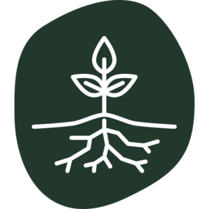 Symbol einer Pflanze mit Wurzeln und steht für Erosionsschutz.