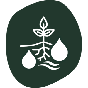 Symbol einer Pflanze mit Wurzeln zwischen zwei Wassertropfen und Wellenlinien und stehen für Erosionsschutz.