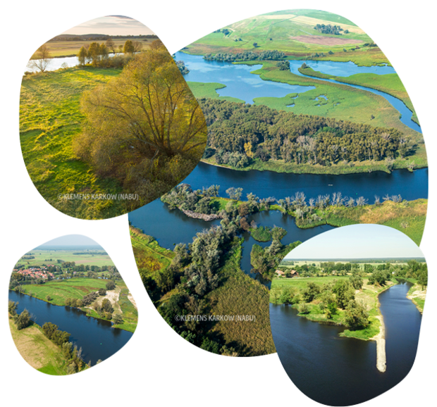 Vier runde Ausschnitte zeigen Luftaufnahmen von Flusslandschaften mit grünen Ufern und Wasserläufen in verschiedenen Perspektiven.