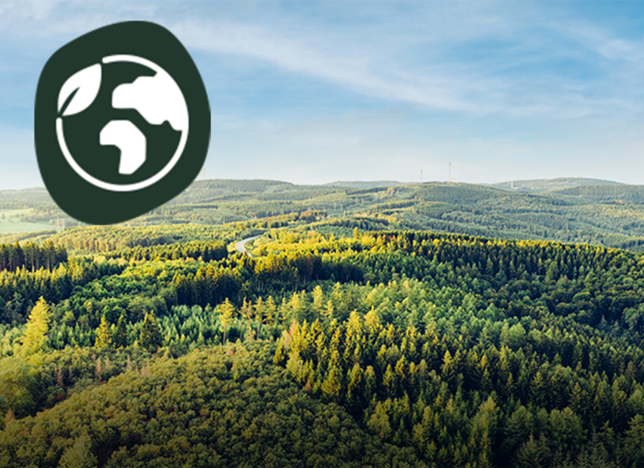 Luftaufnahme von einem dicht bewaldeten Wald.