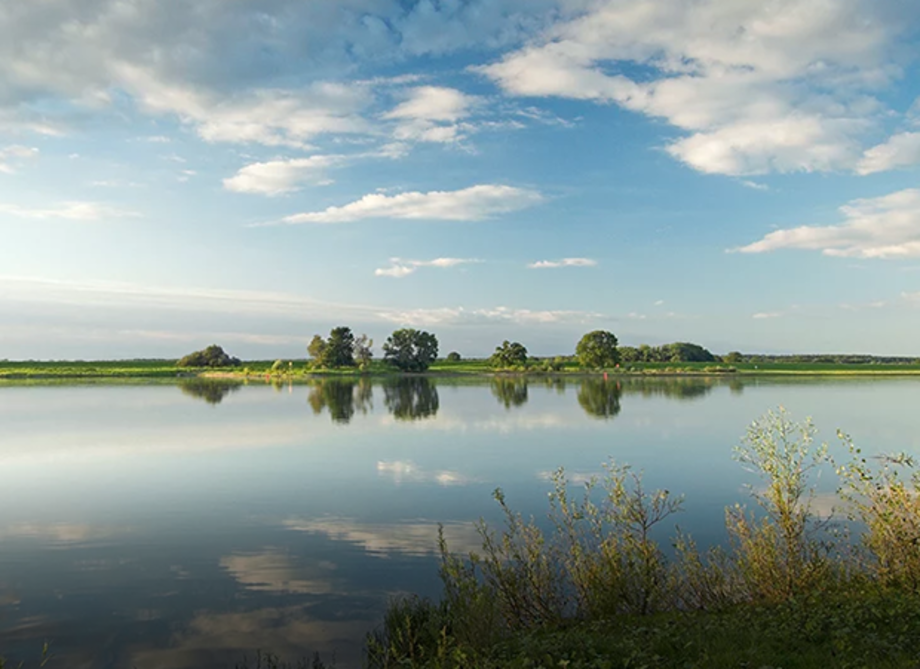 Ruhiger See in dem sich Bäume und Landschaft spiegeln. Im Hintergrund stehen vereinzelt Bäume, der Himmel ist blau und leicht bewölkt.