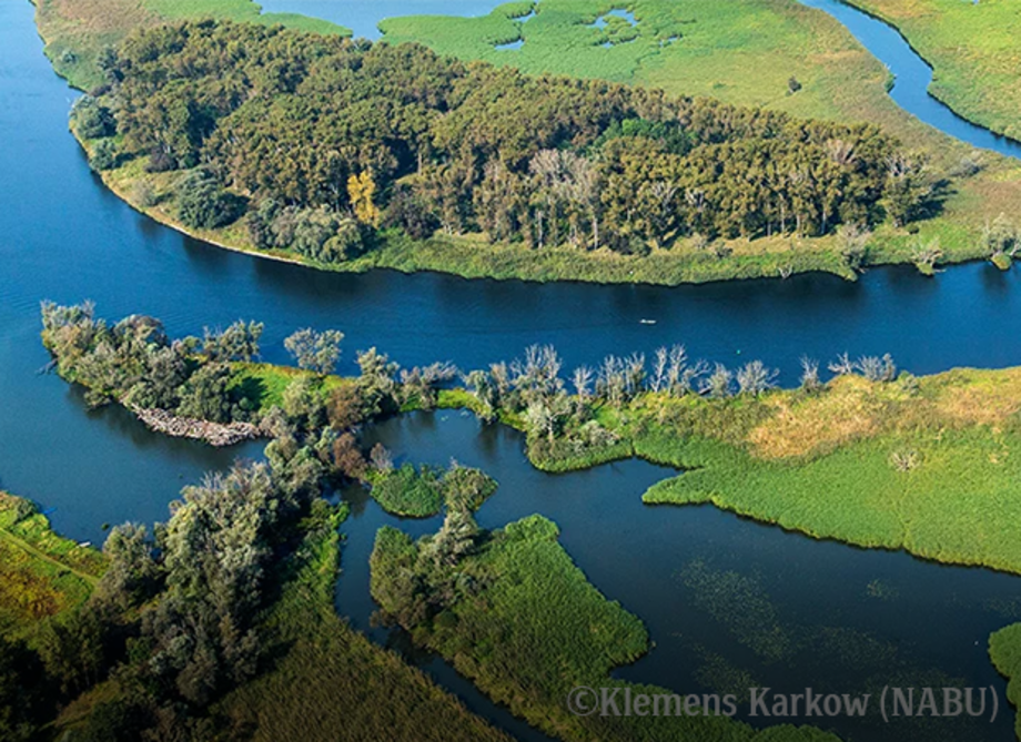 Luftaufnahme eines Flusslaufs mit mehreren Wasserarmen, umgeben von grünen Wiesen und Waldflächen.