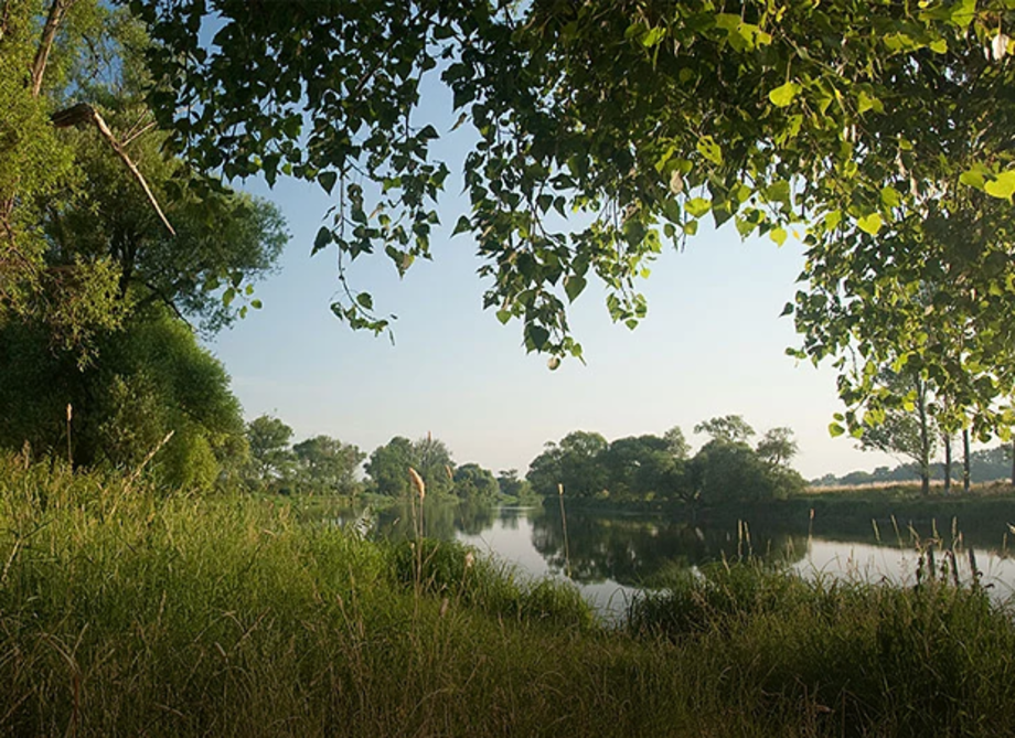 Flussufer mit grünem Gras und Bäumen, ruhiges Wasser spiegelt Himmel und Vegetation wider.