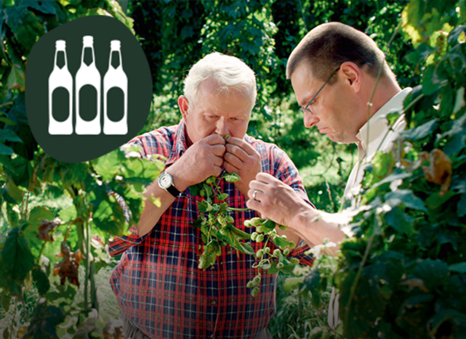 Zwei Männer in einem Hopfengarten, einer hält Hopfen in der Hand und riecht daran.