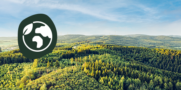 Luftaufnahme von einem dicht bewaldeten Wald.