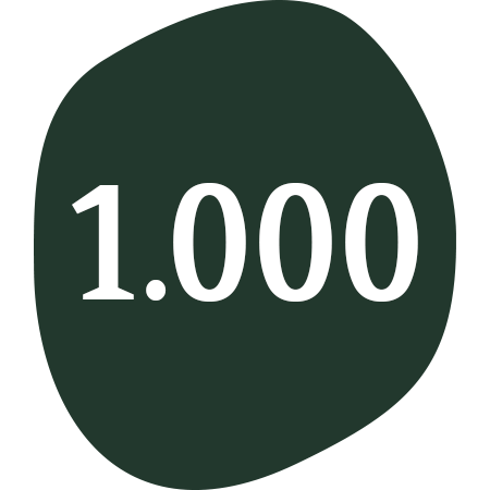 1.000