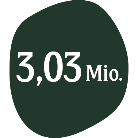 3,03 Mio.