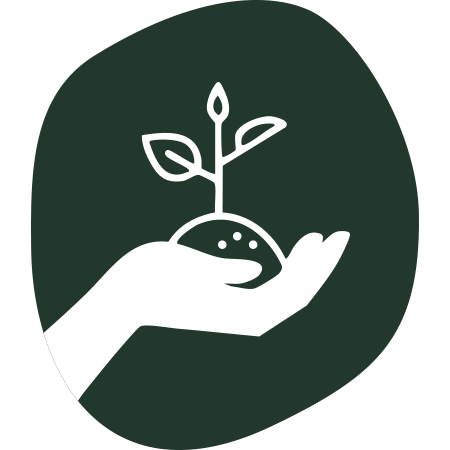 Symbol einer Hand die eine kleine Pflanze hält.