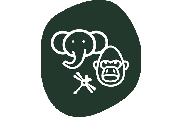 Symbol eines Elefanten, Gorillas und Libelle.