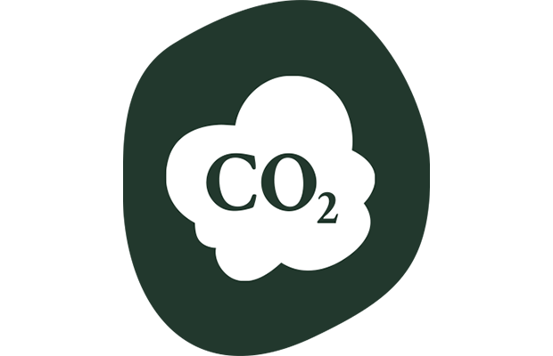 Symbol einer Wolke mit der chemischen Formel 'CO2' für Kohlendioxid.