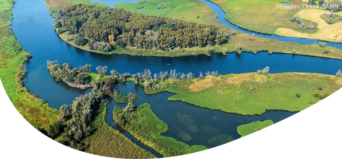 Luftaufnahme eines Flusslaufs mit mehreren Wasserarmen, umgeben von grünen Wiesen und Waldflächen.