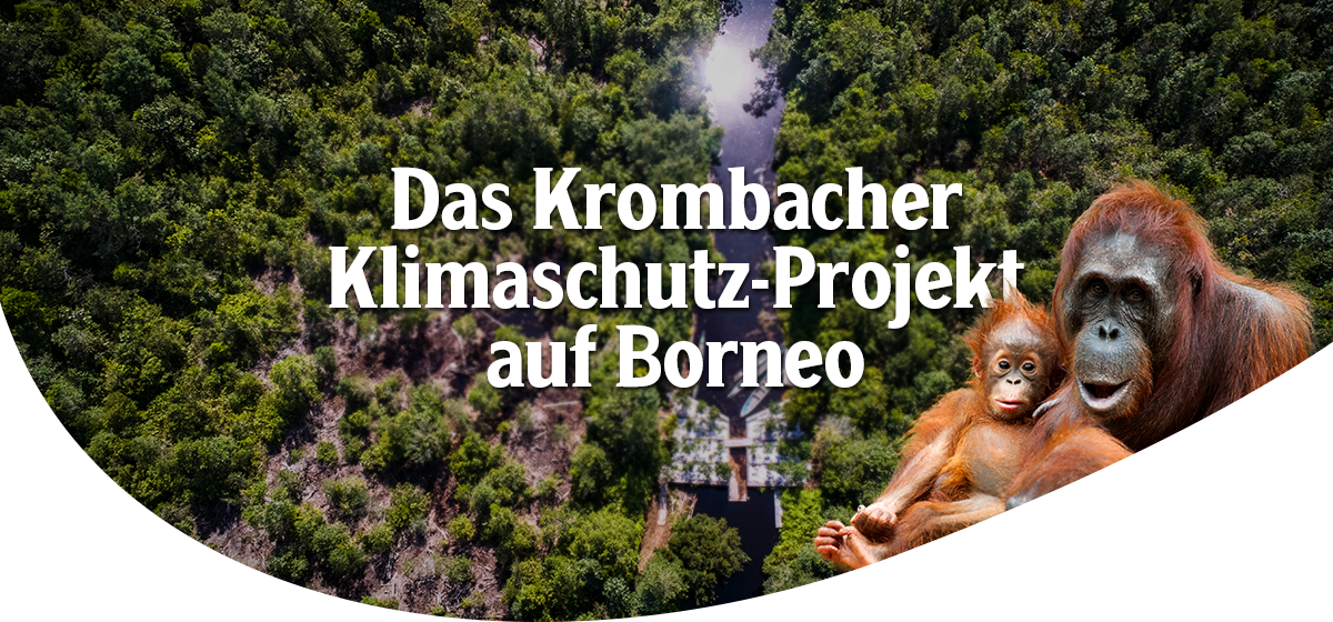 Orang-Utan mit seinem Säugling. Im Hintergrund Luftaufnahme von einem Fluss der durch einen Dschungel fließt. Headline: Das Krombacher Klimaschutz-Projekt auf Borneo.