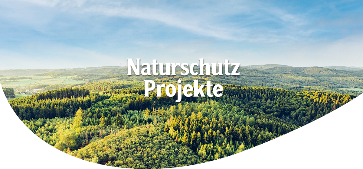 Luftaufnahme von einem dicht bewaldeten Wald, Headline: Naturschutz Projekte.