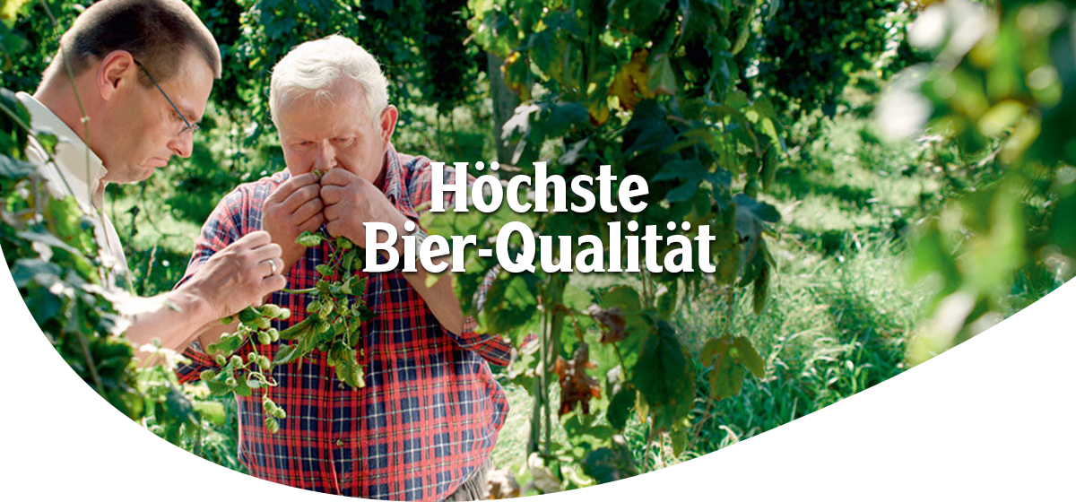 Zwei Männer in einem Hopfengarten, einer hält Hopfen in der Hand und riecht daran, Headline: 'Höchste Bier-Qualität'.