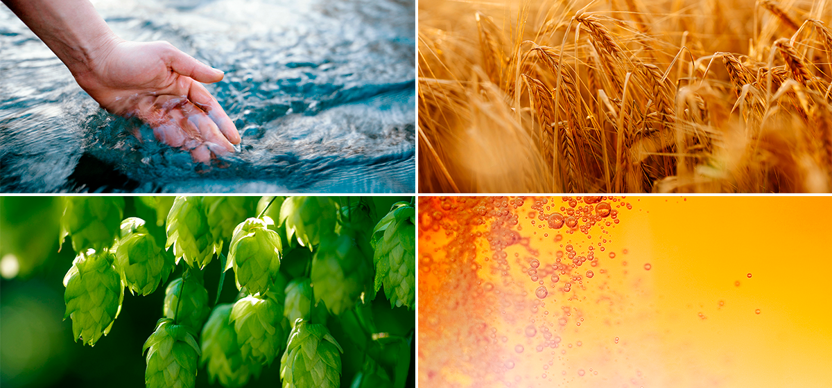 Collage der vier Bier-Zutaten: klares Felsquellwasser®, Gerste im Feld, grüne Hopfendolden und aufsteigende Bläschen.