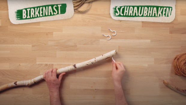 Ein Mensch befestigt einen weißen Schraubhaken an einem Birkenast. Über dem Ast stehen die Wörter 'BIRKENAST' und 'SCHRAUBHAKEN'.