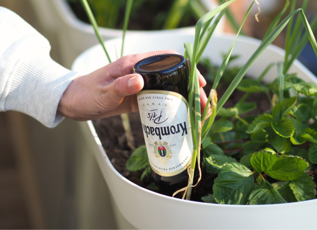 Eine Hand hält eine Flasche 'Krombacher Pils' in einem Pflanzgefäß mit grünen Pflanzen. Im Hintergrund sind frische Kräuter und Erde sichtbar.