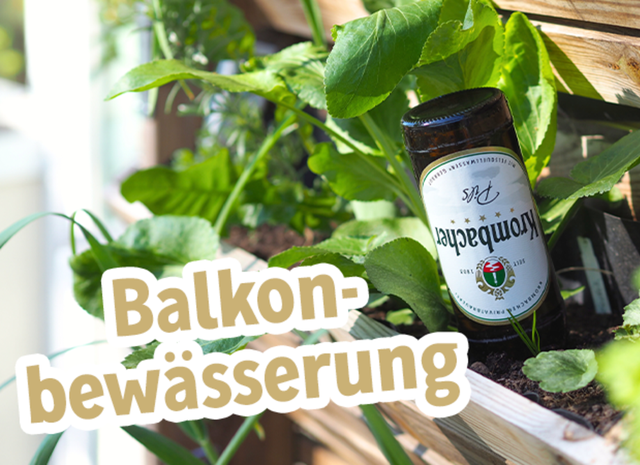 Ein braunes Glas mit dem Etikett 'Krombecher' liegt schräg zwischen grünen Pflanzen in einem Balkonbeet. Der Text 'Balkonbewässerung' ist in einer hellen Schriftart im Vordergrund zu sehen.