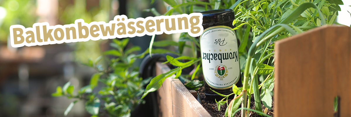 Ein bepflanzter Balkon mit grünen Pflanzen und einem Glasbehälter der Marke 'Kombucha'. Der Text 'Balkonbewässerung' ist in einer verspielten Schriftart dargestellt.
