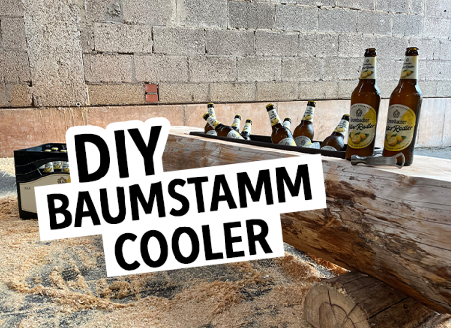 Ein Baumstamm dient als Kühler für Flaschen Bier. Sichtbar sind mehrere Flaschen 'Lindauer Radler' und der Schriftzug 'DIY BAUMSTAMM COOLER'.