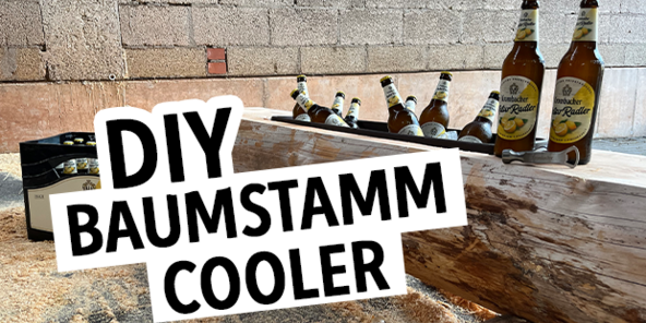 Ein Baumstamm dient als Kühler für Flaschen Bier. Sichtbar sind mehrere Flaschen 'Lindauer Radler' und der Schriftzug 'DIY BAUMSTAMM COOLER'.