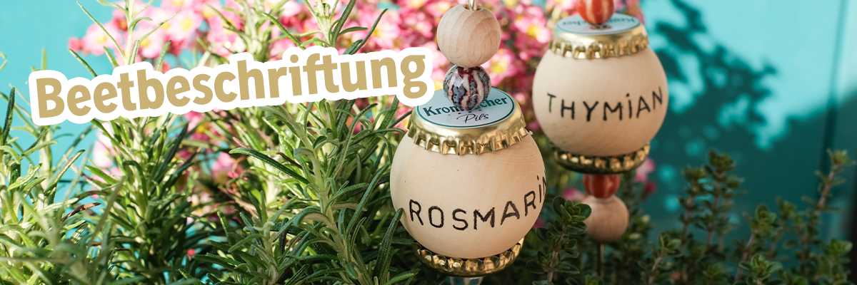Runde Holzkugeln mit Beschriftung Thymian und Rosmarin und Text: Beetbeschriftung.