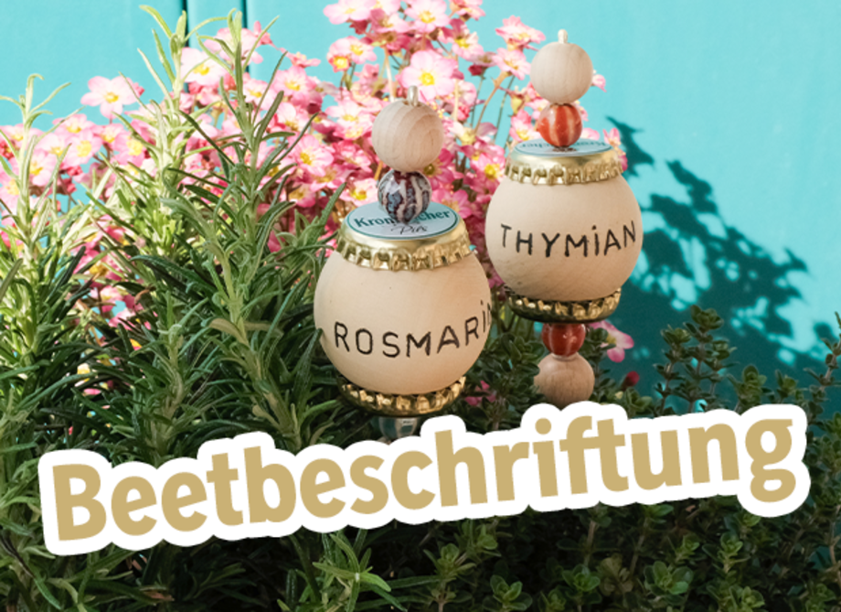 Runde Holzkugeln mit Beschriftung Thymian und Rosmarin und Text: Beetbeschriftung.