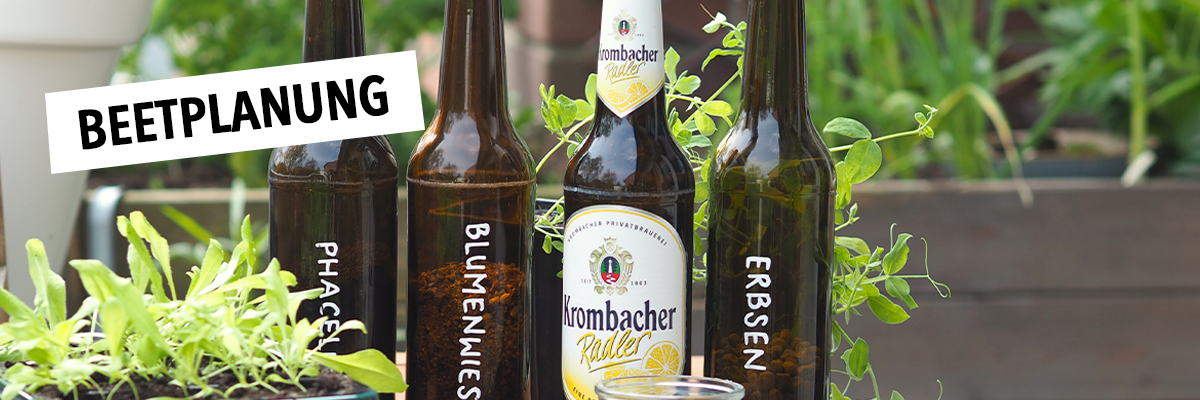 Drei Flaschen 'Krombacher Pils' stehen zwischen Pflanzen in einem Gartenbeet. Über den Flaschen steht der Text 'BEETPLANUNG'.