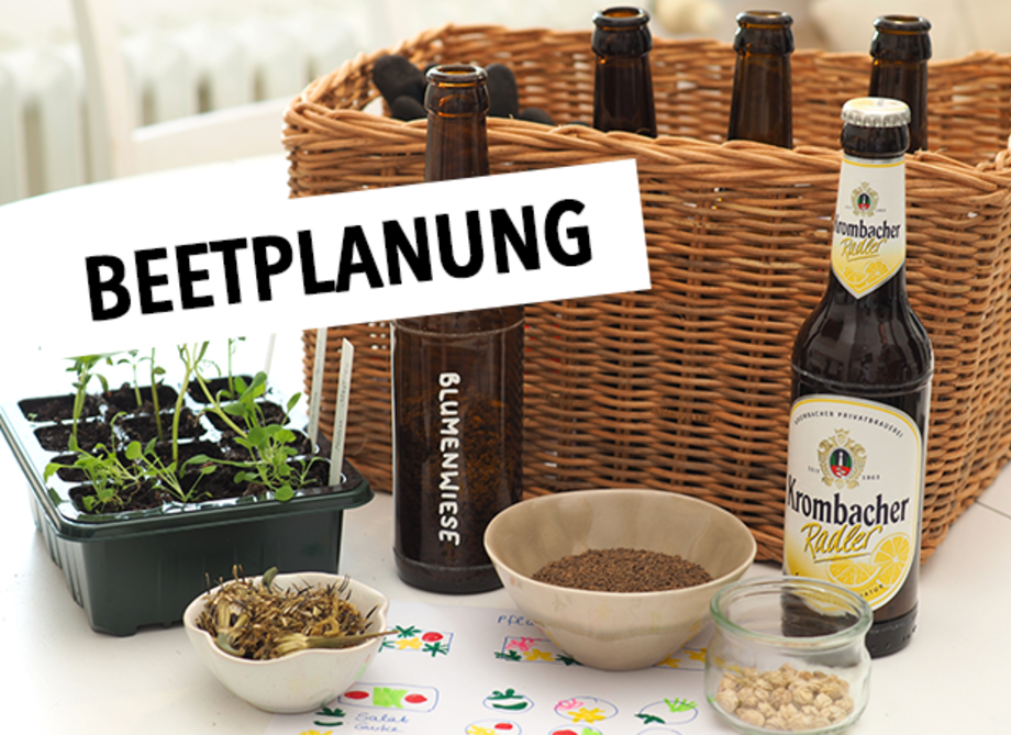 Ein Korb mit Pflanzen und zwei Flaschen Bier, eine mit dem Etikett 'Krombacher Radler' und die andere mit 'Blumenwiese'. Auf dem Tisch sind auch Samen und ein Blatt mit dem Text 'BEETPLANUNG'.