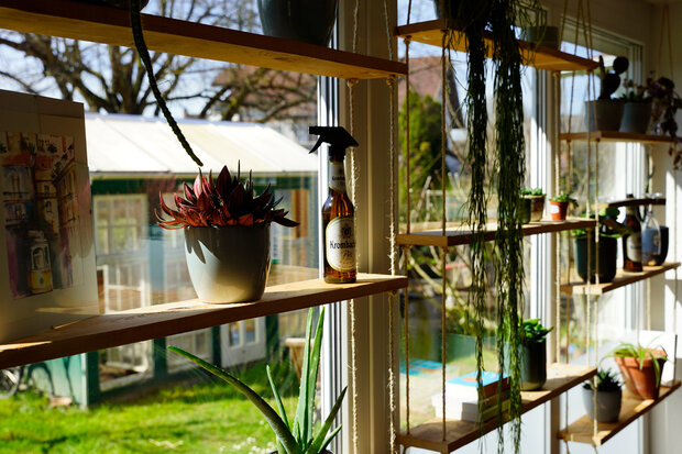 Fertiges Fensterregal mit Pflanze und stehender Krombacher Pilsflasche.