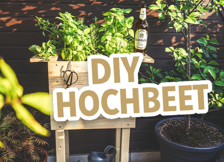 Ein Hochbeet aus Holz mit frischen Kräutern, darunter Minze und Basilikum. Daneben steht eine Flasche 'Franzbräu' und der Text 'DIY HOCHBEET' ist prominent platziert.