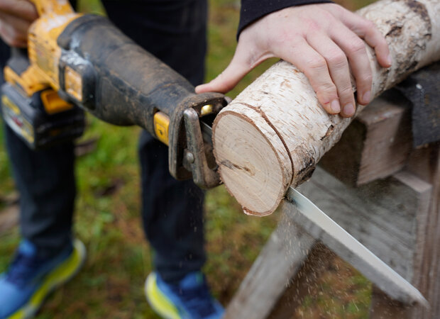Ein Birkenast wird mit einer Stichsäge gesägt und in Scheiben gesägt.
