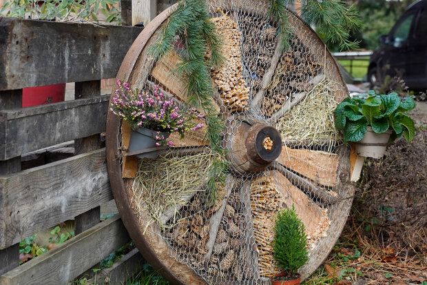 Warenradfächer sind mit Naturmaterialien gefüllt.