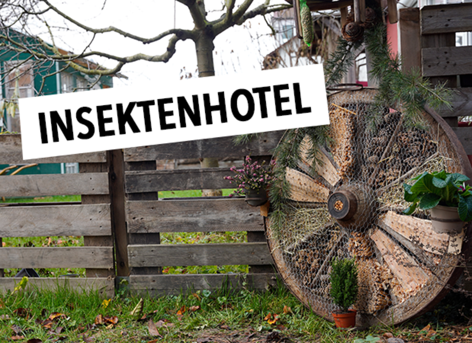 Rundes Insektenhotel steht an einem Zaun mit Text: Insektenhotel.