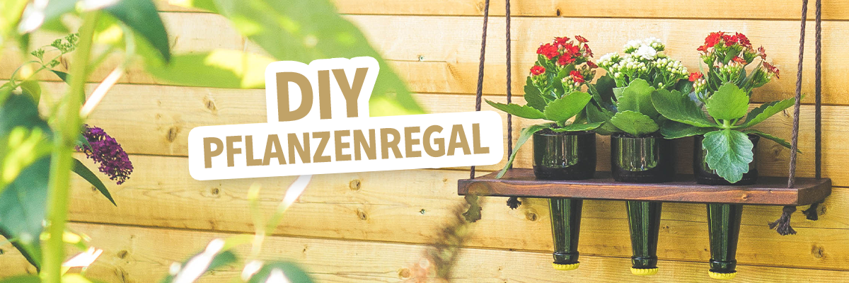 Ein hängendes Pflanzenregal aus Holz mit drei Töpfen, die mit bunten Blumen und grünen Blättern bepflanzt sind. Der Text 'DIY PFLANZENREGAL' ist in großer, auffälliger Schrift dargestellt.