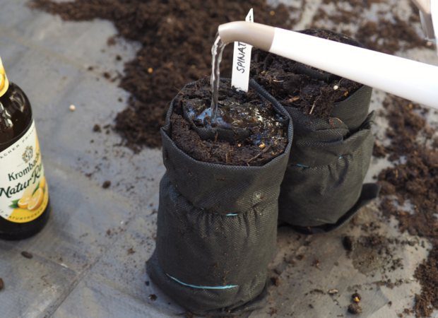 Die Erde wird gegossen.