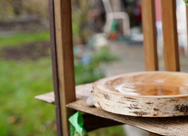 Vogeltränke auf einer Holzscheibe.