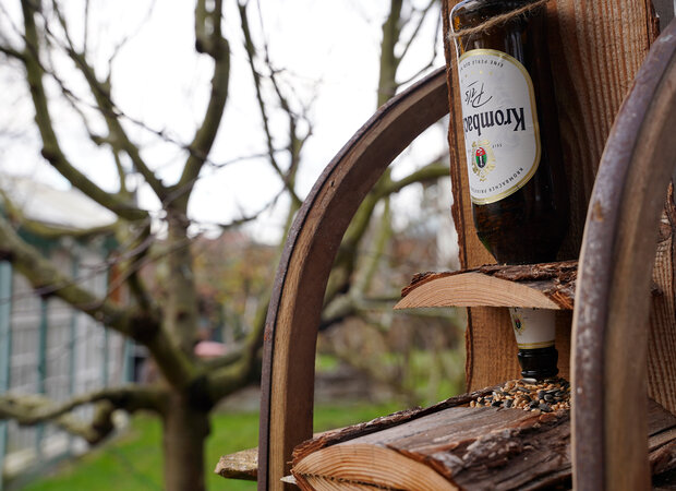 Umgedrehte Krombacher Pilsflasche dient als Futterspender.