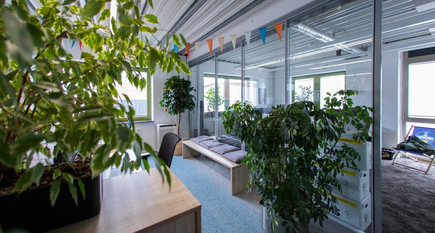 Büro mit Pflanzen im Vordergrund, Glaswänden im Hintergrund und einer gemütlichen Sitzecke mit Kissen. Bunte Wimpel hängen an der Decke.