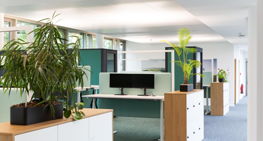 Büroansicht mit mehreren Pflanzen in Töpfen, zwei Monitoren auf einem Schreibtisch, weißen und holzfarbenen Möbeln sowie hellen Wänden.