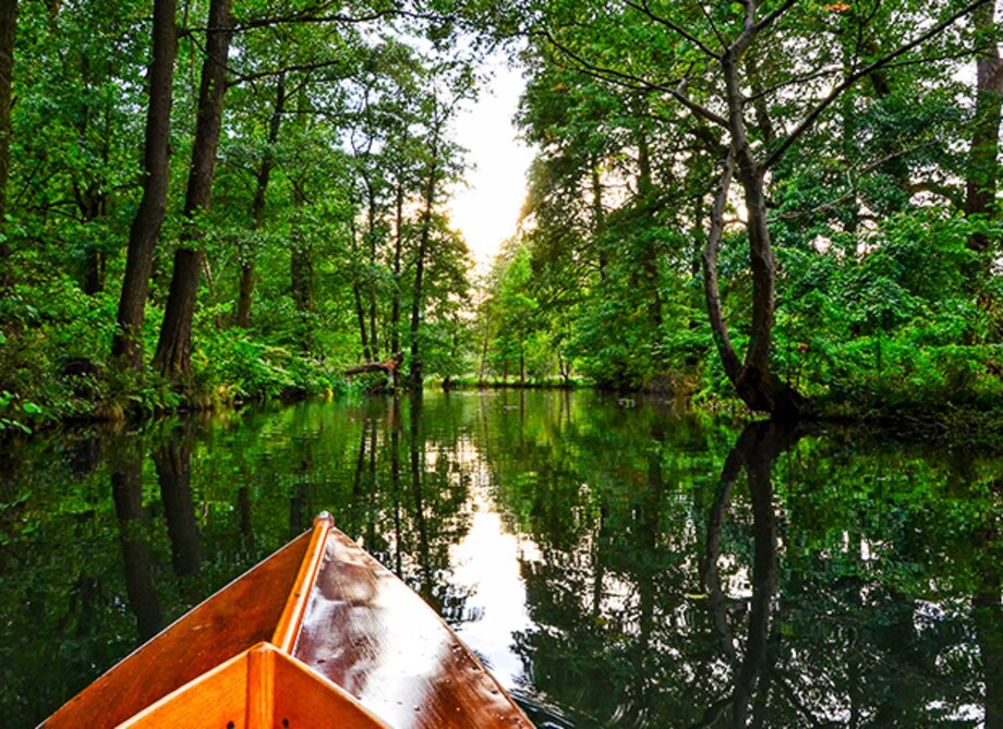 Ein Holzboot auf einem stillen Fluss durch einen dichten Wald.