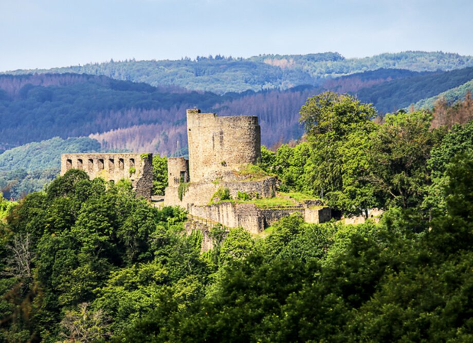 Blick auf eine Burgruine auf einem Berg mitten in den Wäldern.