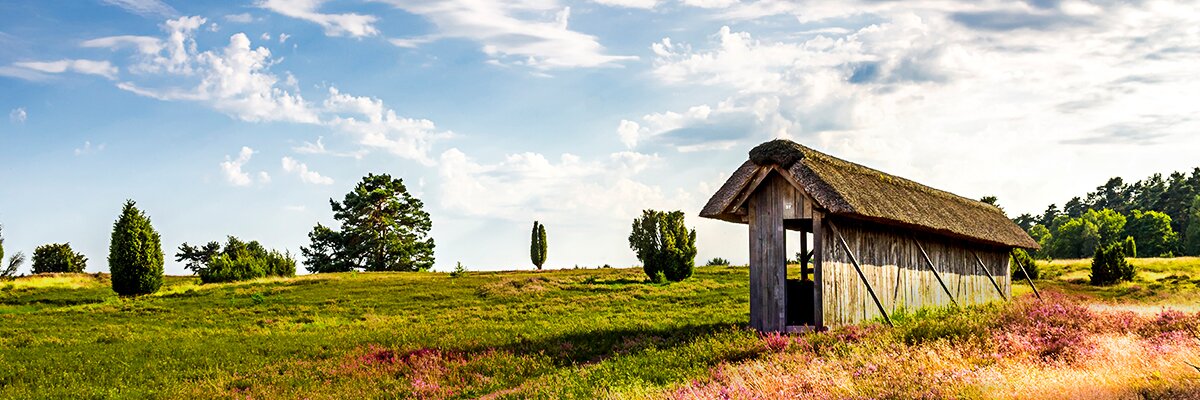 Eine Holzhütte auf einer Wiese mit Wäldern im Freien.