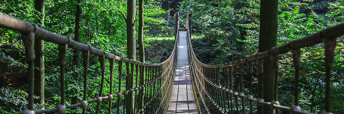 Eine Hängebrücke steht in einem dicht bewachsenen Wald.
