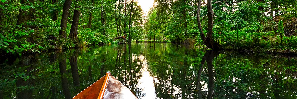 Ein Holzboot auf einem stillen Fluss durch einen dichten Wald.